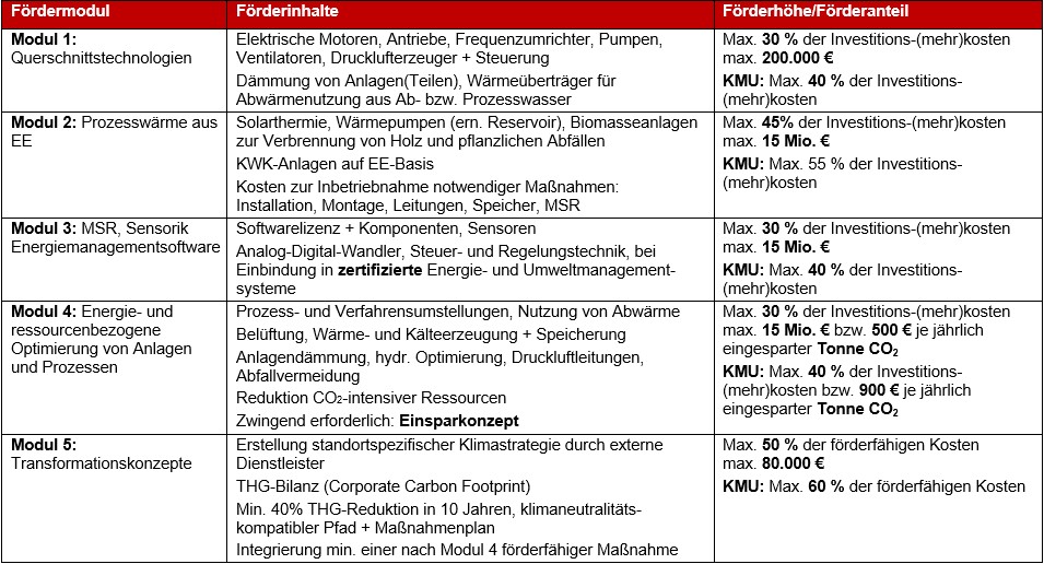 (BAFA-Förderung für Energie- und Ressourceneffizienz in der Wirtschaft) - Modul 1-5