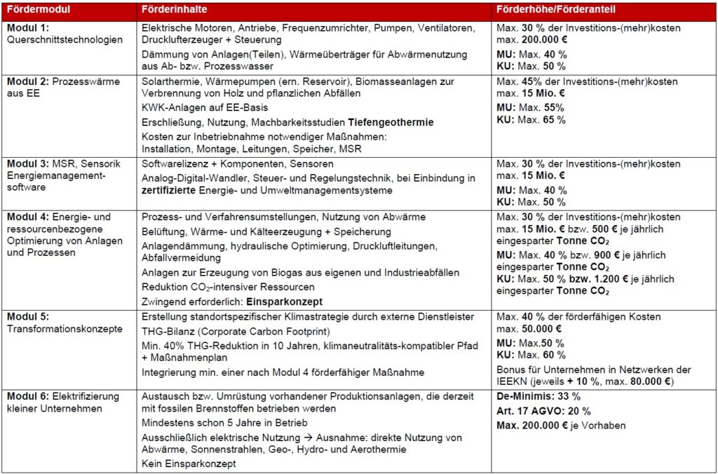 Förderfähige Energieeffizienzmaßnahmen, Vorzeitiger Maßnahmenbeginn, BAFA, Modul 1 – 5 EEW, Bundesförderung, Transformationskonzept, Modul 1, Modul 2, Modul 3, Modul4, Modul 5, Modul 6